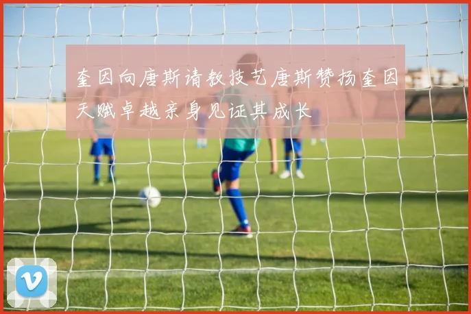 奎因向唐斯请教技艺唐斯赞扬奎因天赋卓越亲身见证其成长